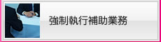 強制執行補助業務